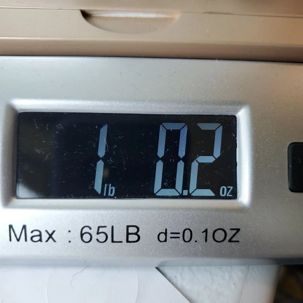 Keds brand size